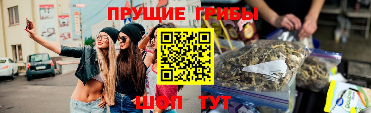 Псилоцибиновые грибы Psilocybe  Псилоцибиновые грибы GOLDEN TEACHER  Вход с VPN  Вязьма 